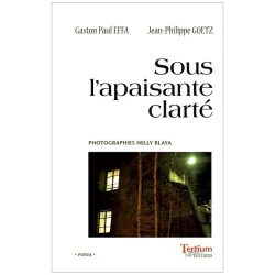 Sous l'apaisante clarté de Gaston-Paul Effa
