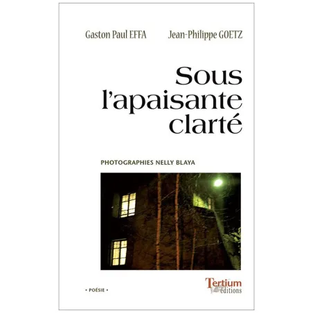 Sous l'apaisante clarté de Gaston-Paul Effa
