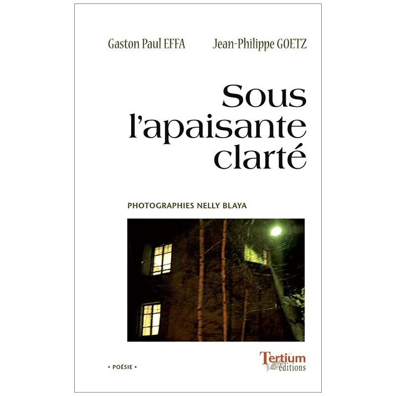 Sous l'apaisante clarté de Gaston-Paul Effa