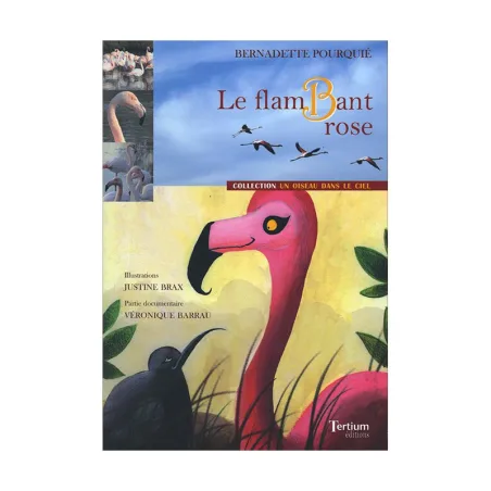 Couverture de Le flamBant rose de Bernadette Pourquié