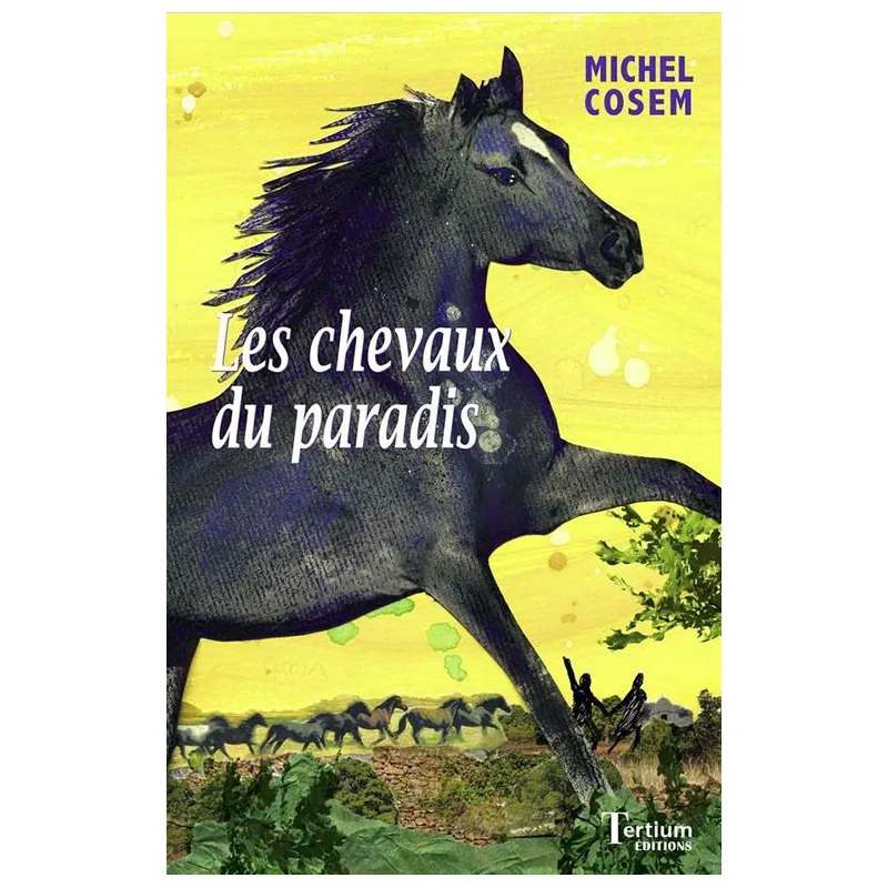 Couverture de Les chevaux du paradis de Michel Cosem