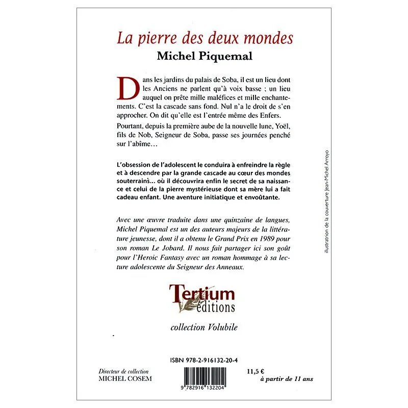 Quatrième de couverture de La pierre des deux mondes de Michel Piquemal