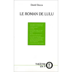 Couverture de Le roman de Lulu de David Decca